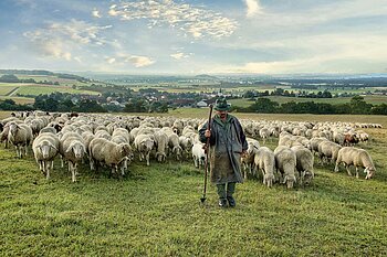 Schäfer Huggenberger am Mähhorn bei Huisheim